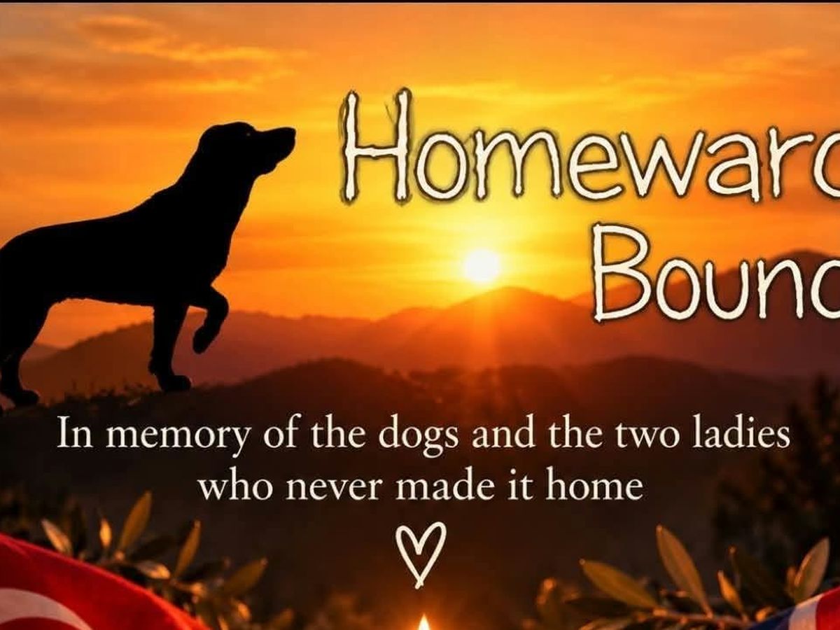 Fundraiser’s main image