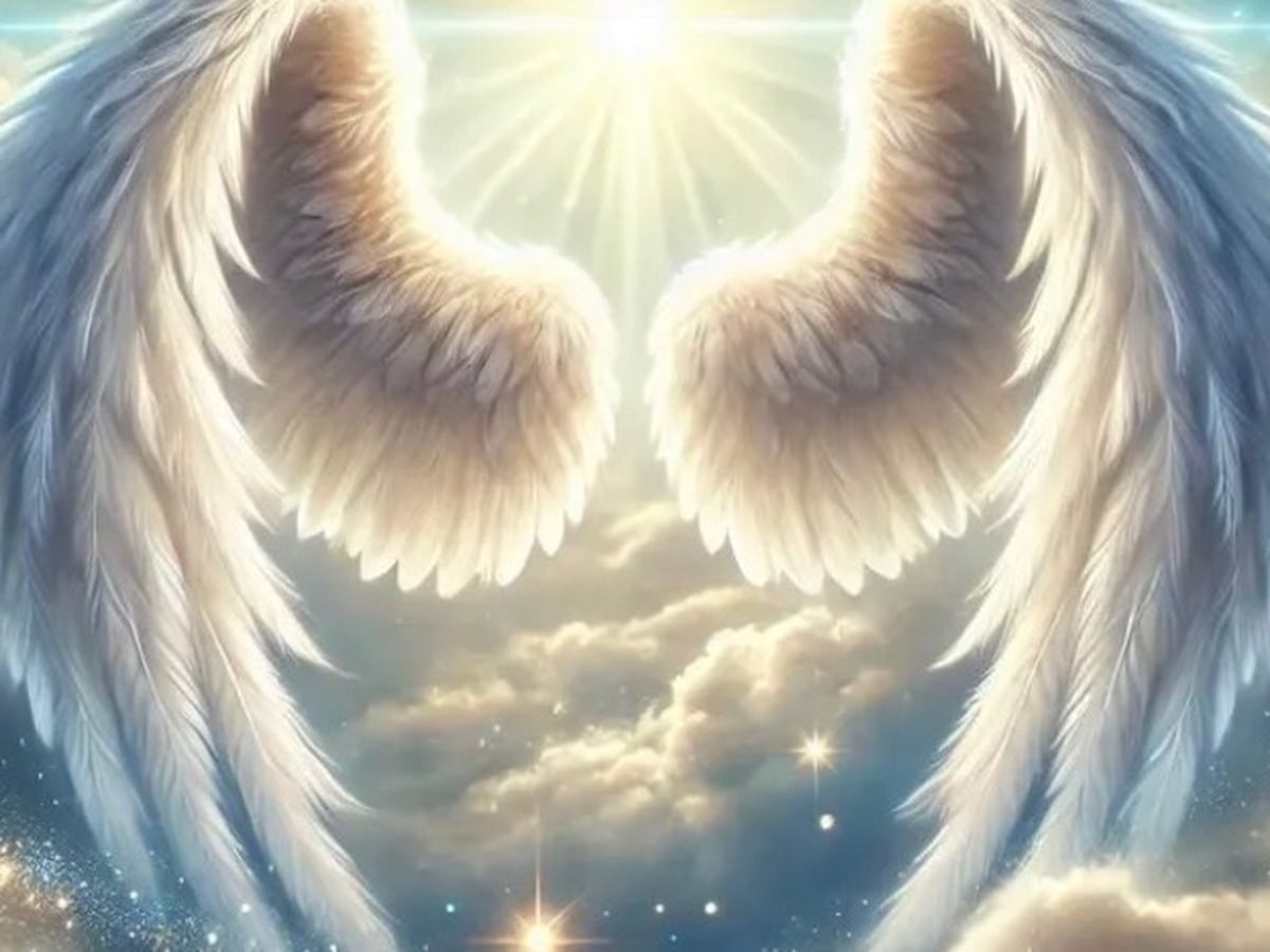 Fundraiser’s main image