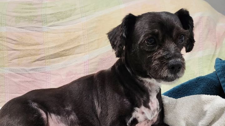Help Lady Get Life-Saving Surgery campaign photo, 1 of 5