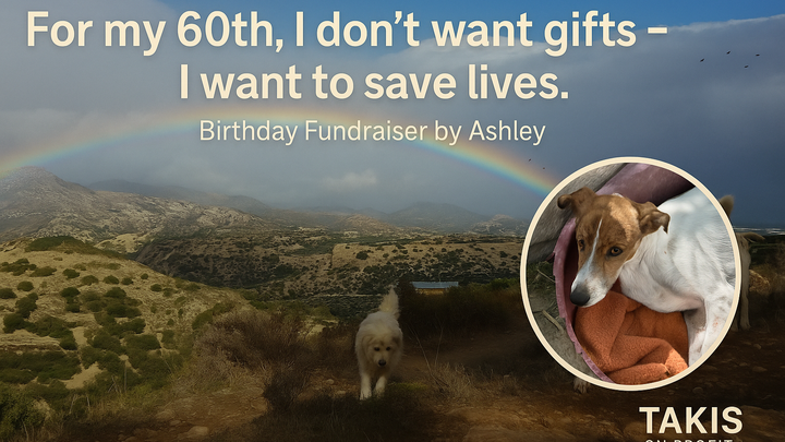 Birthday Fundraiser for Takis Animal Rescue- Saving animals campaign photo, 1 of 4
