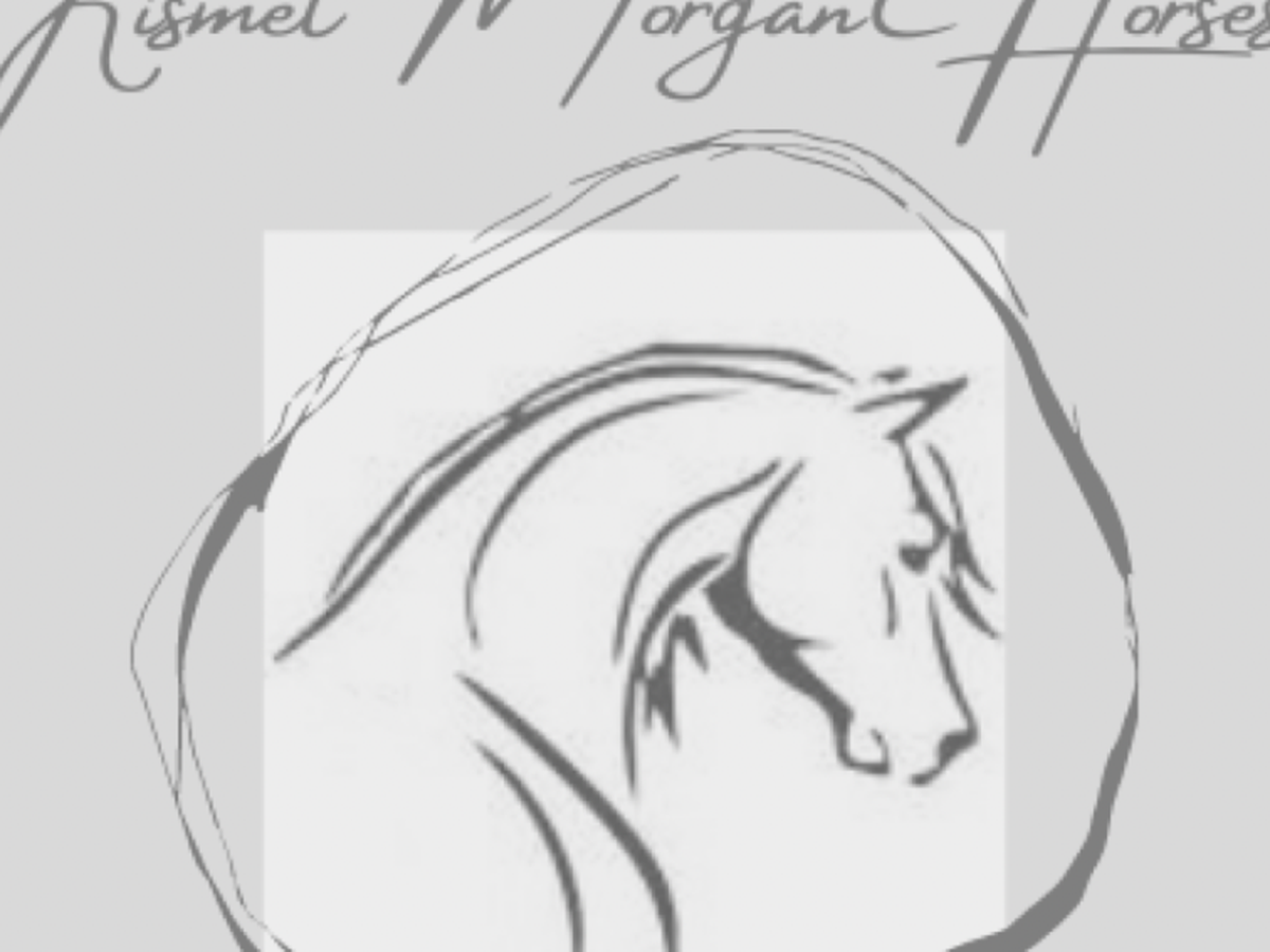 Fundraiser’s main image