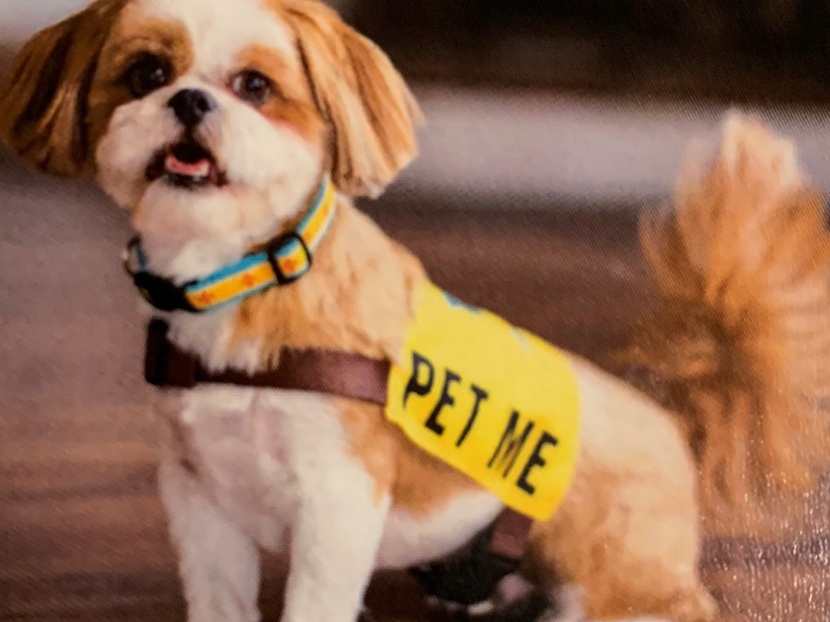 Fundraiser’s main image