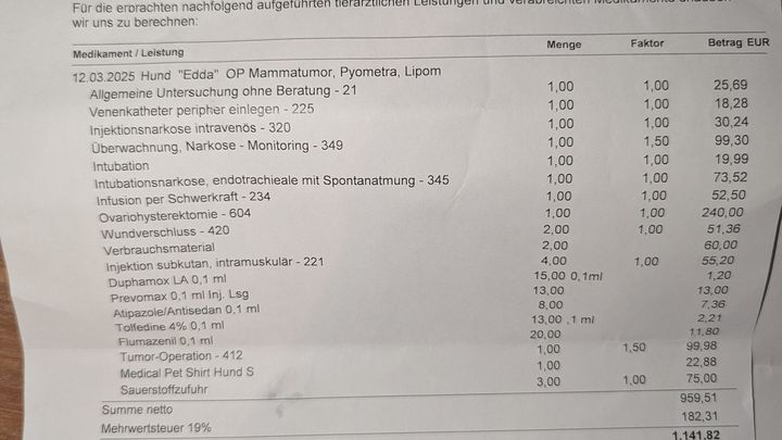 Fundraiser by Melanie Meixner : Hilfe für die Operation und