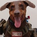Profile photo of Marvin Sipes