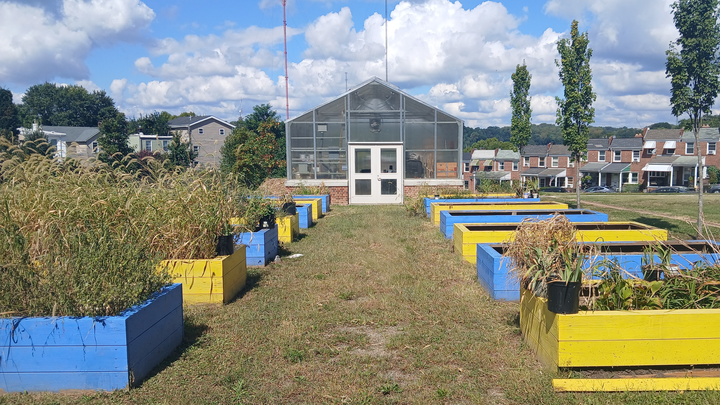 Tahir's ACCE Garden Learning Tables Project campaign photo, 1 of 5