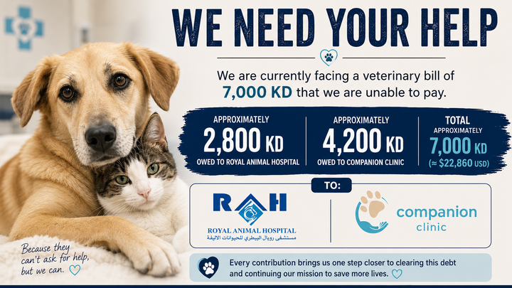 HELP iCARE PAY OVERDUE MEDICAL BILLS campaign photo, 1 of 12