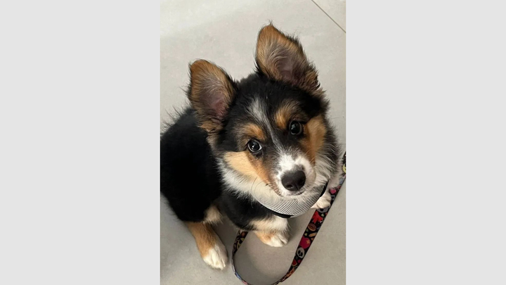 She gives me hope, and I wanna give her a home campaign photo, 1 of 5
