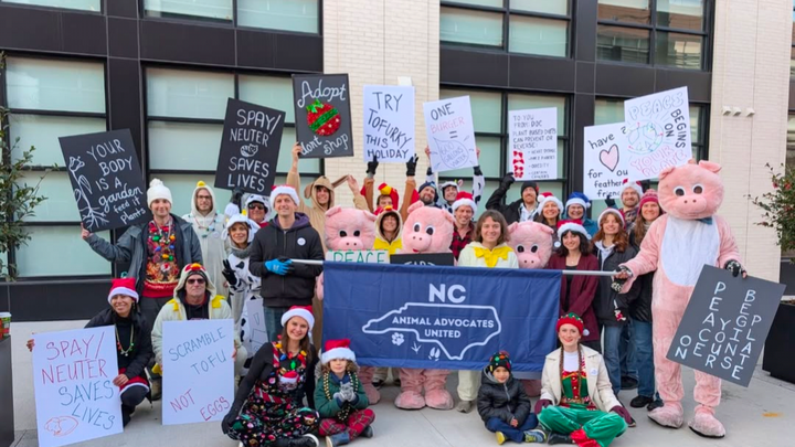 Support NC Animal Advocates United campaign photo, 1 of 7