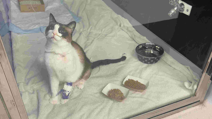 Main fundraiser photo