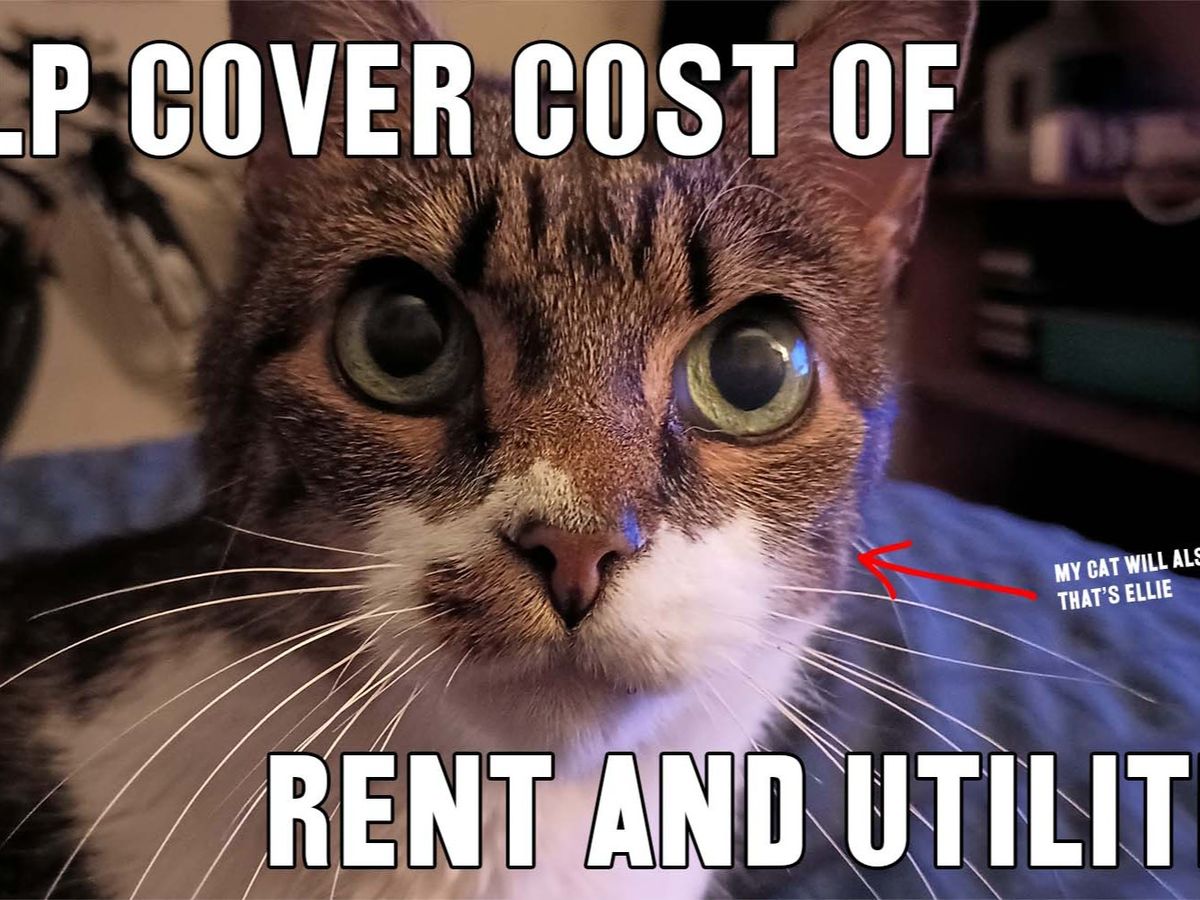 Help Cover Costs of Rent and Utilities campaign photo, 1 of 3