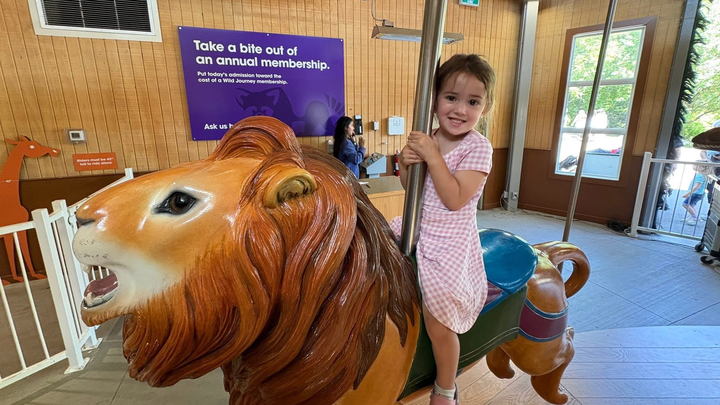 Help Sweet Violet Fight Her Brain Tumour campaign photo, 1 of 8