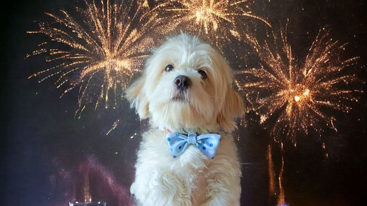 Main fundraiser photo