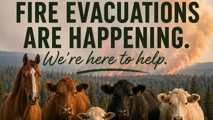 Northwestern Ontario Wildfire Emergency Response Fund campaign photo, 1 of 6