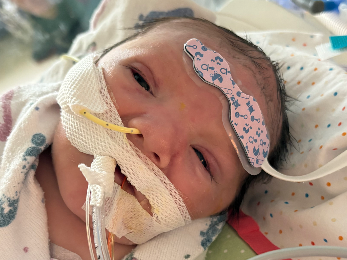 Support Easton's Beautiful Farewell campaign photo, 1 of 5
