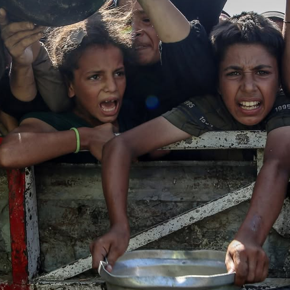 Support Palestinian Writers, Hungry Children & Stray Animals