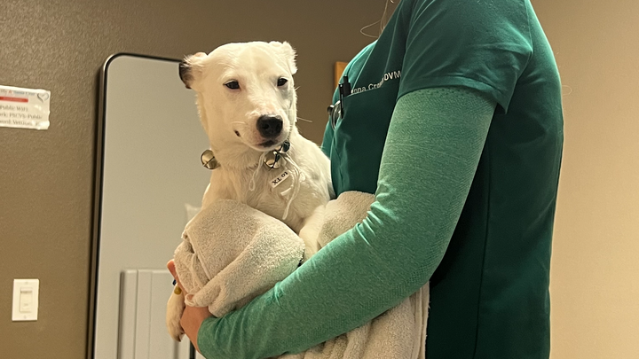 Support Dare's Urgent Hospital Stay campaign photo, 1 of 5