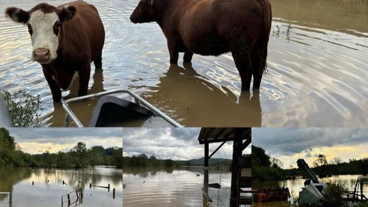 Support NC Farmers and Families After Hurricane campaign photo, 1 of 3
