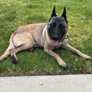 GoFundMe profile picture for @gunner