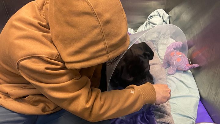 Hope for Athena’s Life-Saving Surgery campaign photo, 1 of 7