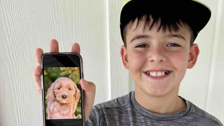 Help McCoy Get His Diabetic Alert Dog campaign photo, 1 of 11