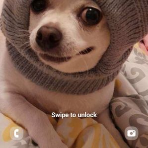 Taco 