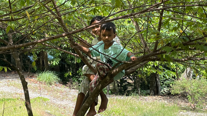 Help Ketambe, Sumatra campaign photo, 1 of 3