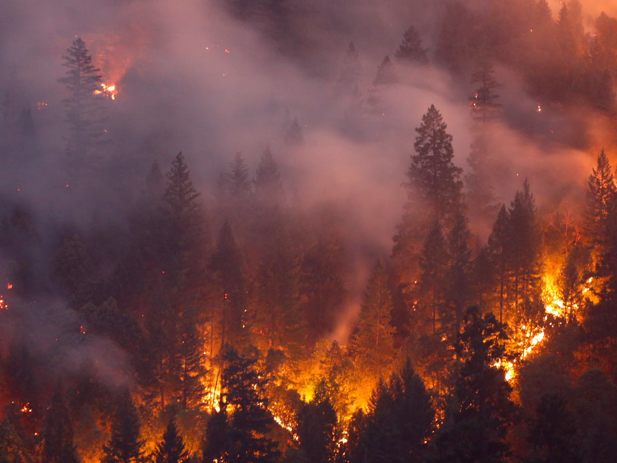 Help families affected by US wildfires campaign photo, 1 of 6