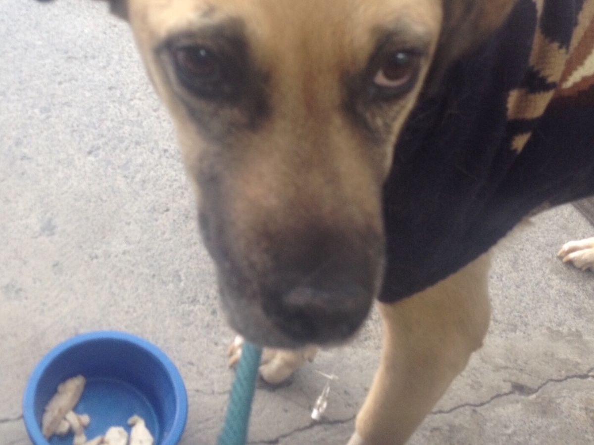 Fundraiser For Barry Heim By Heather Rivendell Please Help Amber