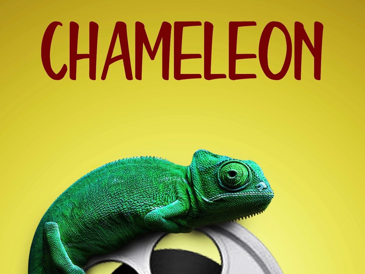 テクノ歌謡DX カメレオン　Chameleon The Ventures Amazon.co.jp: テクノ歌謡DX(5)カメレオン: 家電＆カメラ