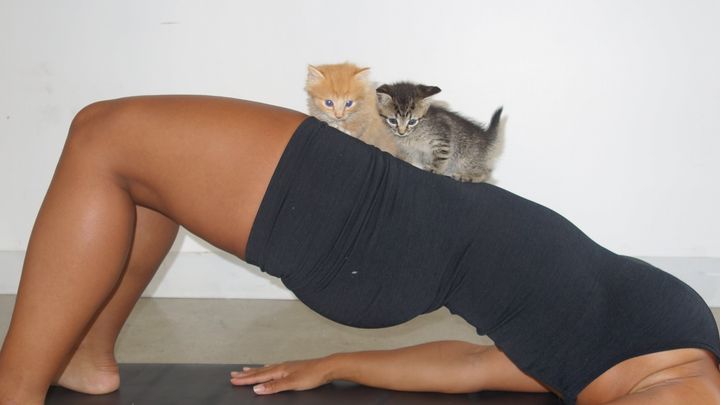 Purlates Kitten Sanctuary: Safe Haven for Kittens campaign photo, 1 of 8