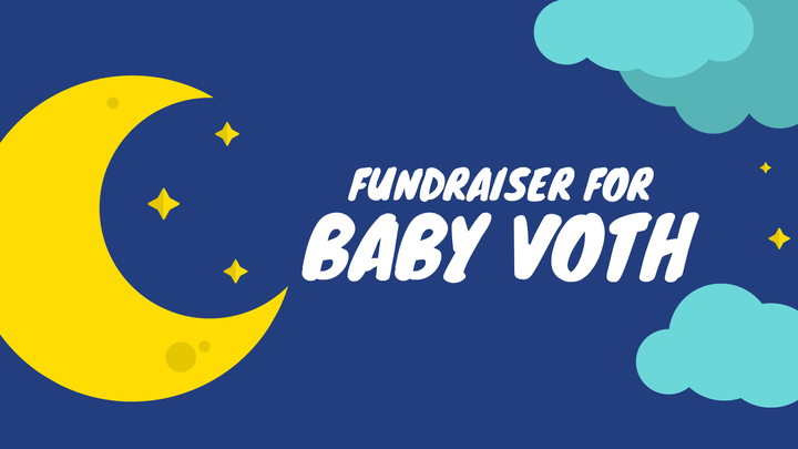 Main fundraiser photo
