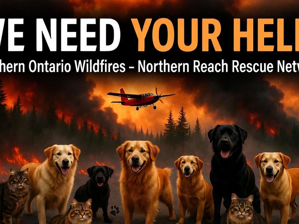 Help Northern Reach Rescue Network Support Wildfire Evacuees campaign photo, 1 of 7