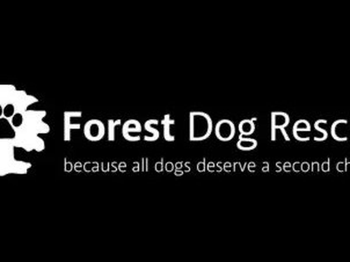 Fundraiser’s main image