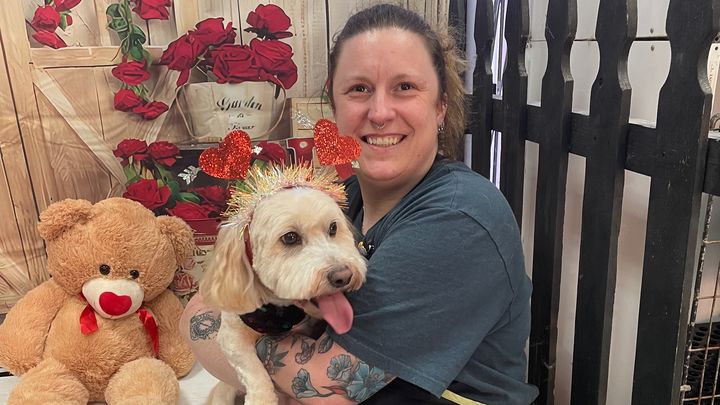 Help Niki Get a Mobile Grooming Van campaign photo, 1 of 3