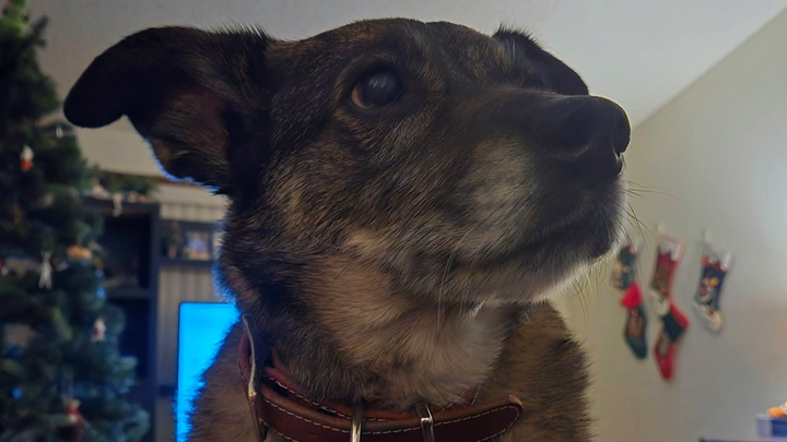 Help Perdi Get Life-Saving Surgery campaign photo, 1 of 8