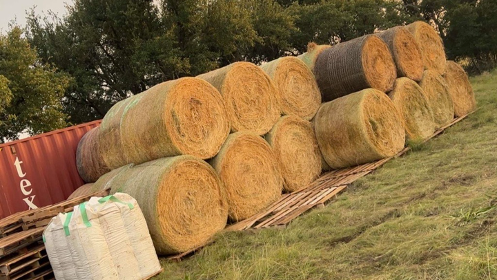 Help 4M Ranch Deliver Aid to Flooded Animals campaign photo, 1 of 4