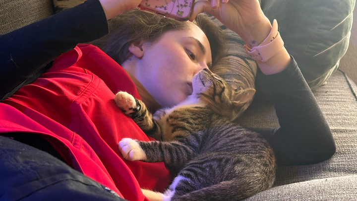 Help save Herb: He's fighting FIP campaign photo, 1 of 8