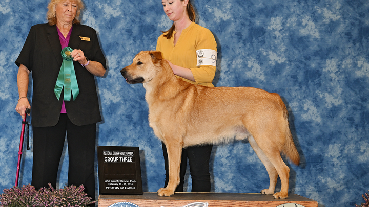 Main fundraiser photo