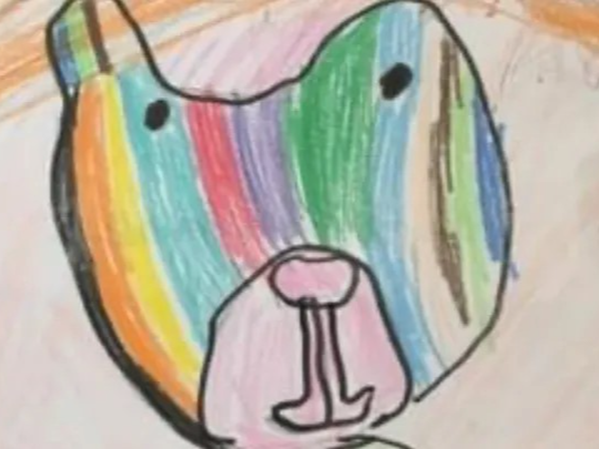 Fundraiser’s main image