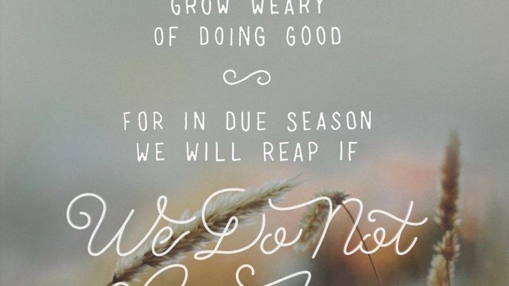 Main fundraiser photo