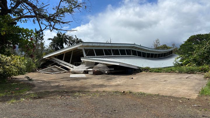 Hawaiian Paradise Flowers Storm Recovery (Pacheco ‘Ohana) campaign photo, 1 of 7