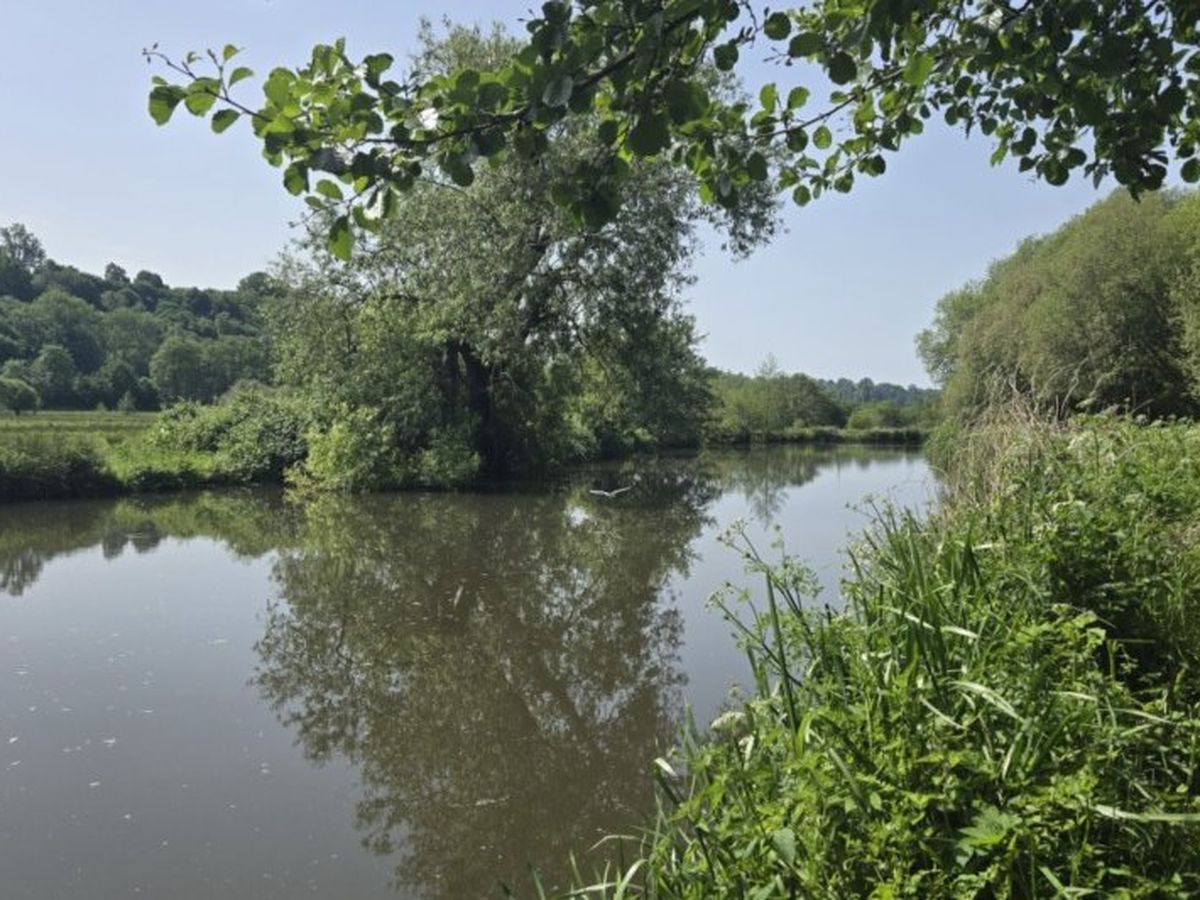 River Wey Charity Walk 19-07-2026 campaign photo, 1 of 3
