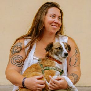 Street Animal Rescue Alliance