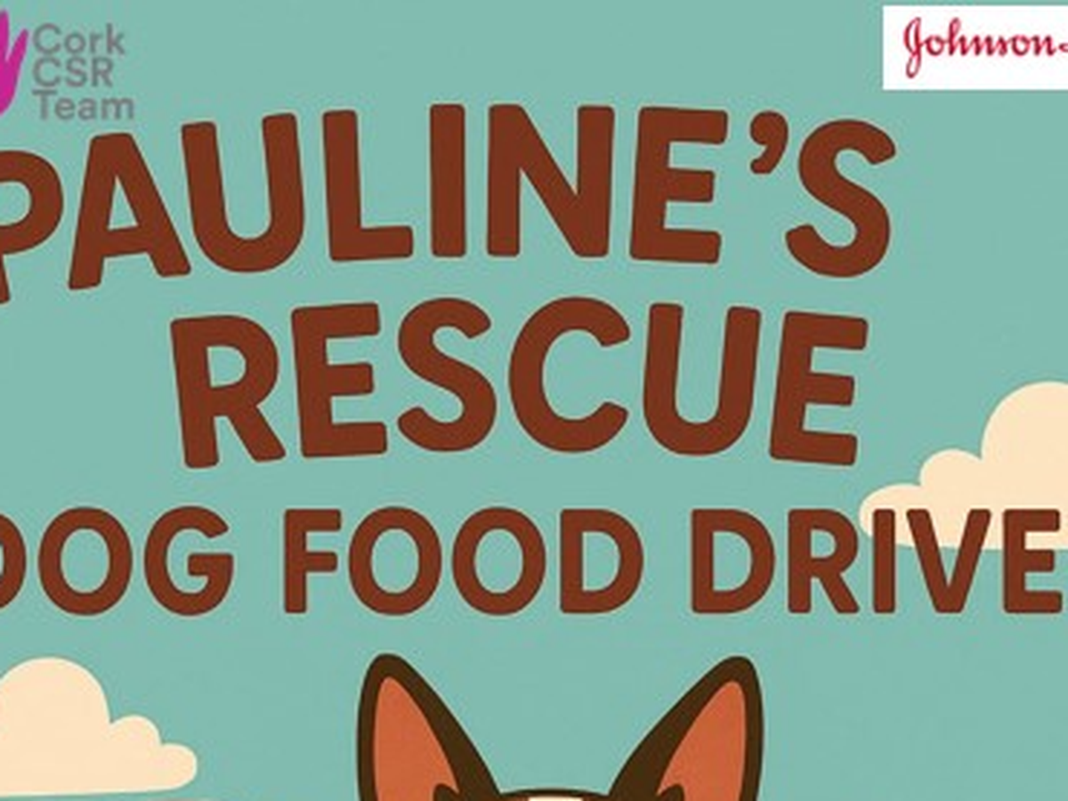 Fundraiser’s main image