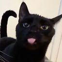 Profile photo of Kit Aiz