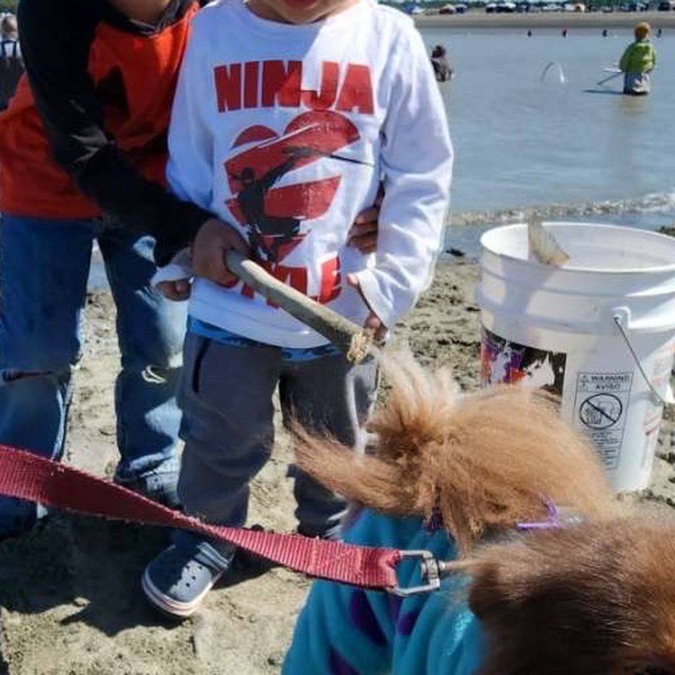 Support loss of family dog & childhood home