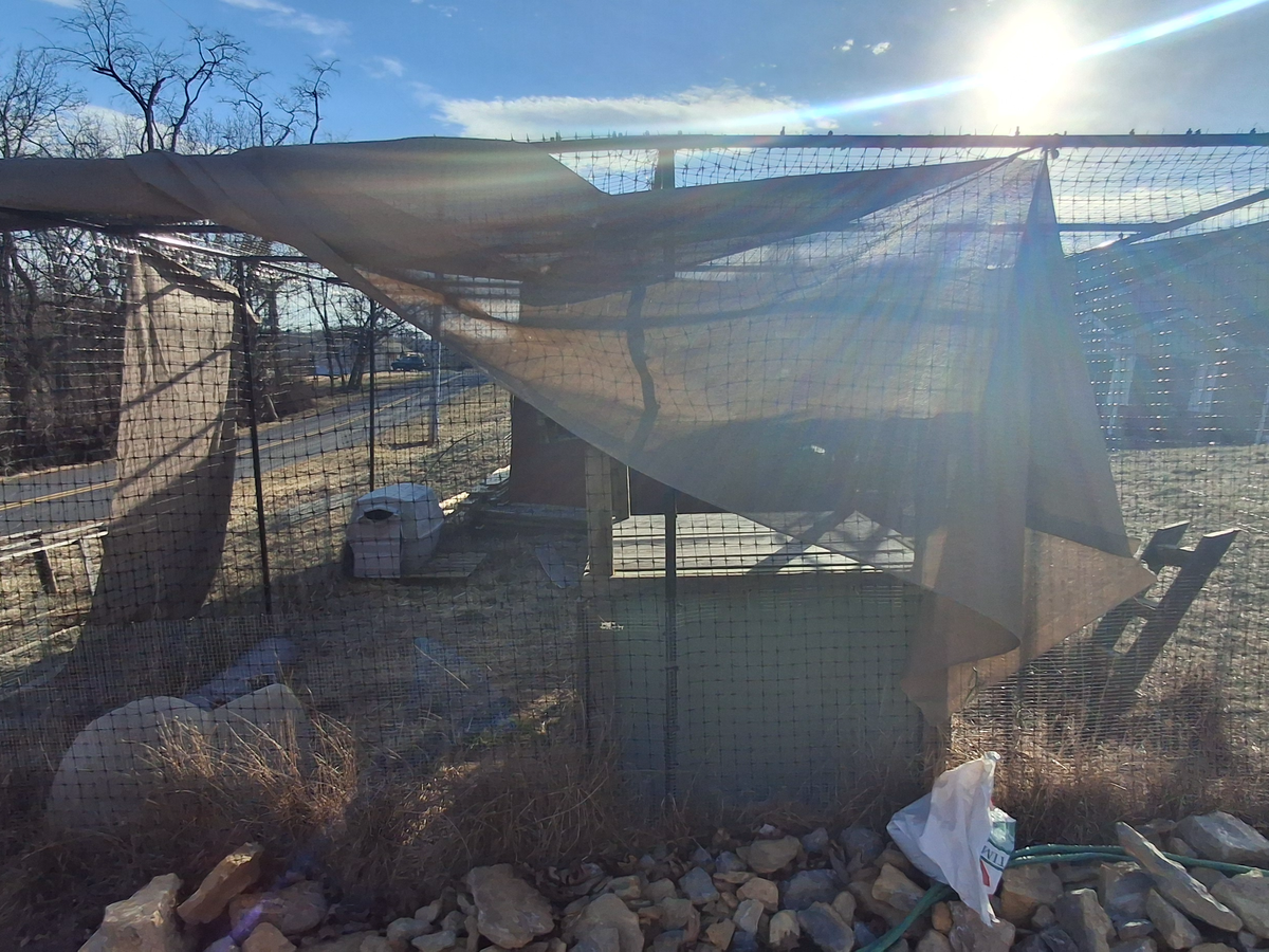 Support Adam Phelps' Eagle Scout Project campaign photo, 1 of 7