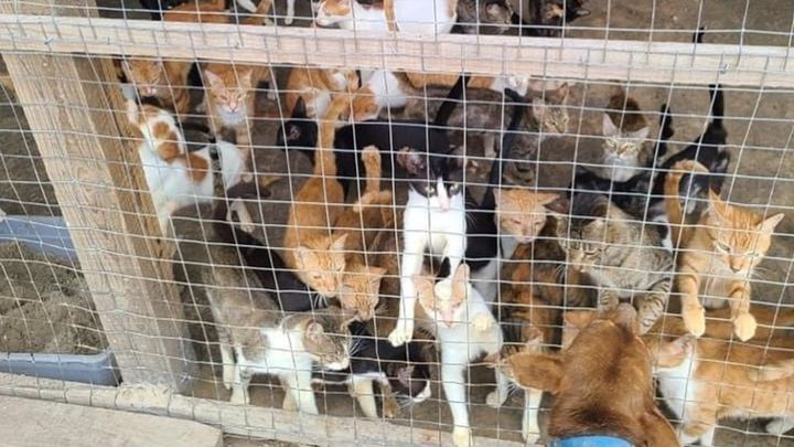 Main fundraiser photo