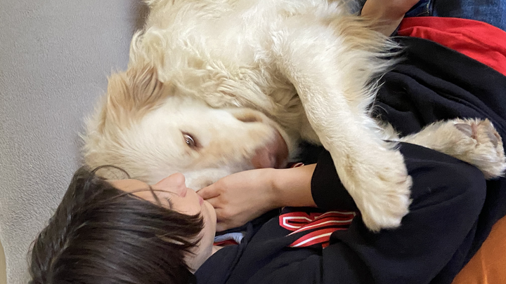 Progetti di Pet therapy “Le ali del cuore campaign photo, 1 of 7