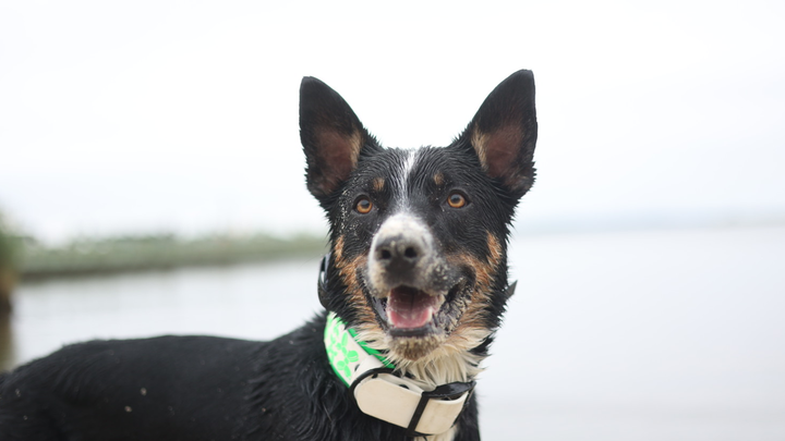 Bring Krue Home: Support Our Search campaign photo, 1 of 7